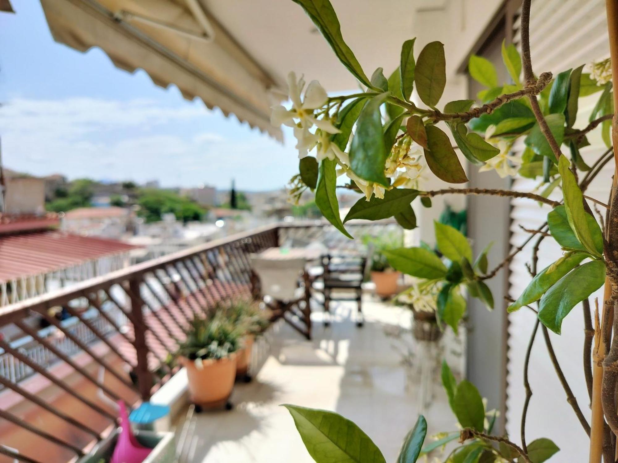 Castleview 2Br Welcome Stay Spacious Lux Apartment سالونيك المظهر الخارجي الصورة